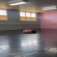 68fee4275f5f7.gif