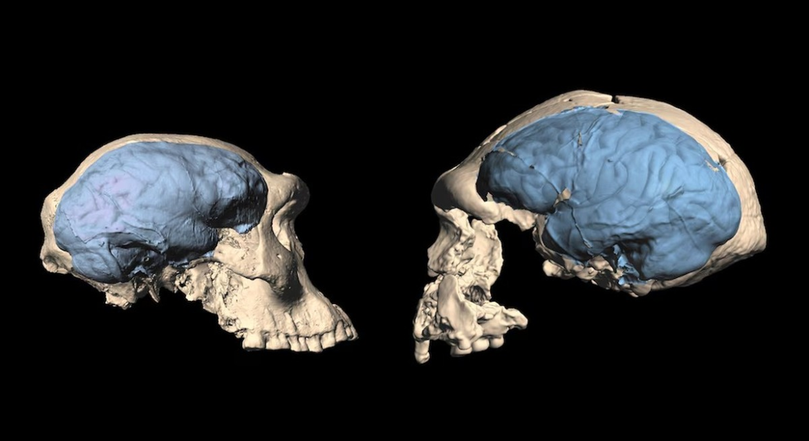 image-2025-10-23t111245.810.png